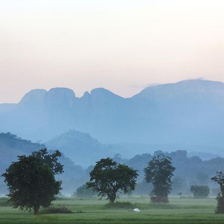 Farcry Nature Boutique Resort Matale Ngoại thất bức ảnh