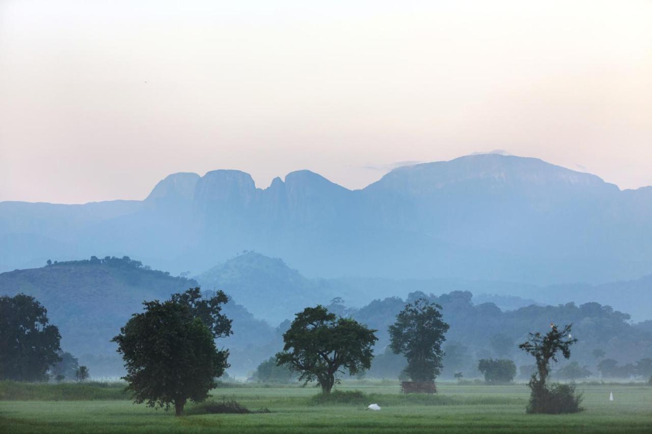 Farcry Nature Boutique Resort Matale Ngoại thất bức ảnh